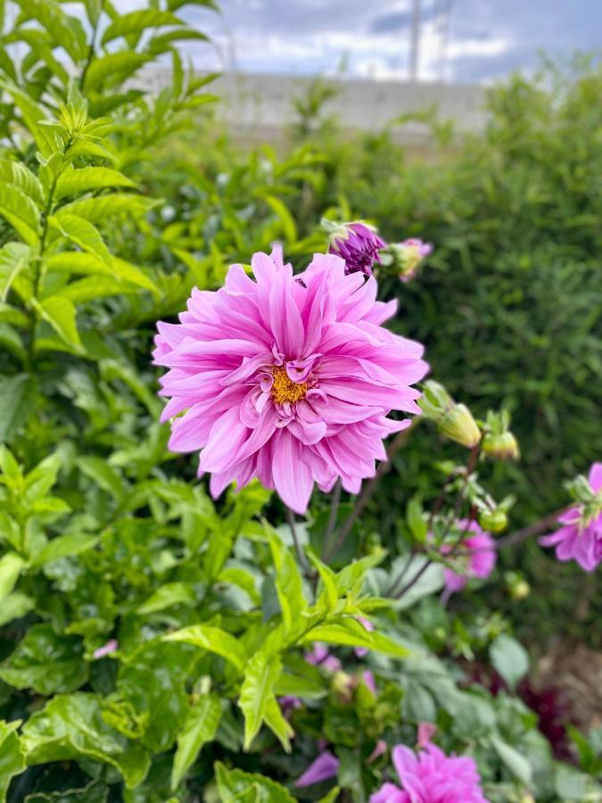 Hospedaje El Girasol Tababela 키토 외부 사진
