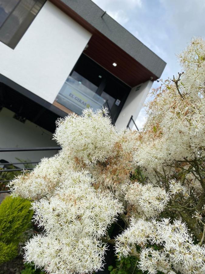 Hospedaje El Girasol Tababela 키토 외부 사진