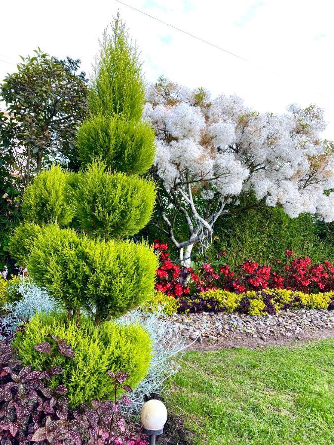 Hospedaje El Girasol Tababela 키토 외부 사진