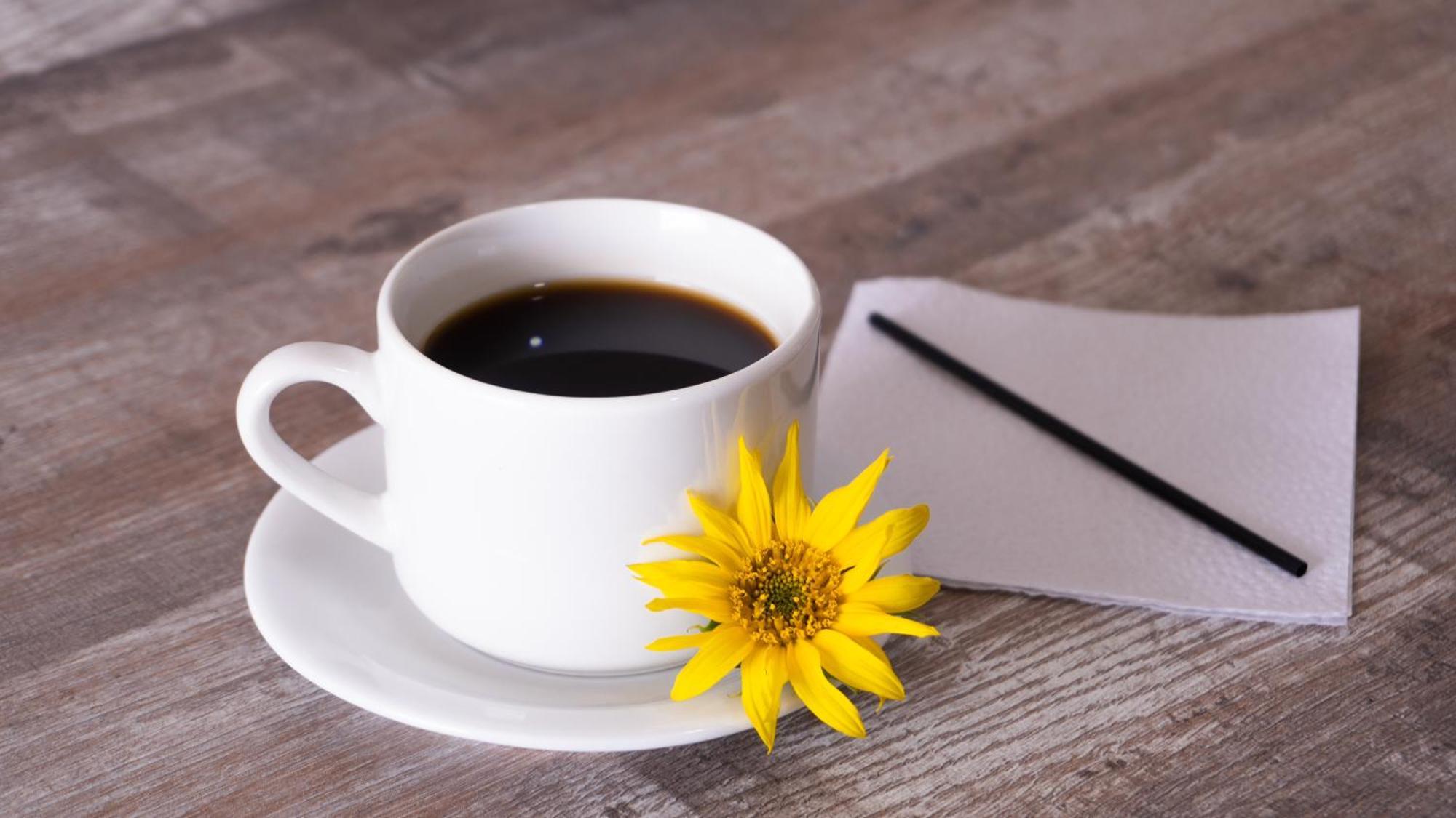 Hospedaje El Girasol Tababela 키토 외부 사진
